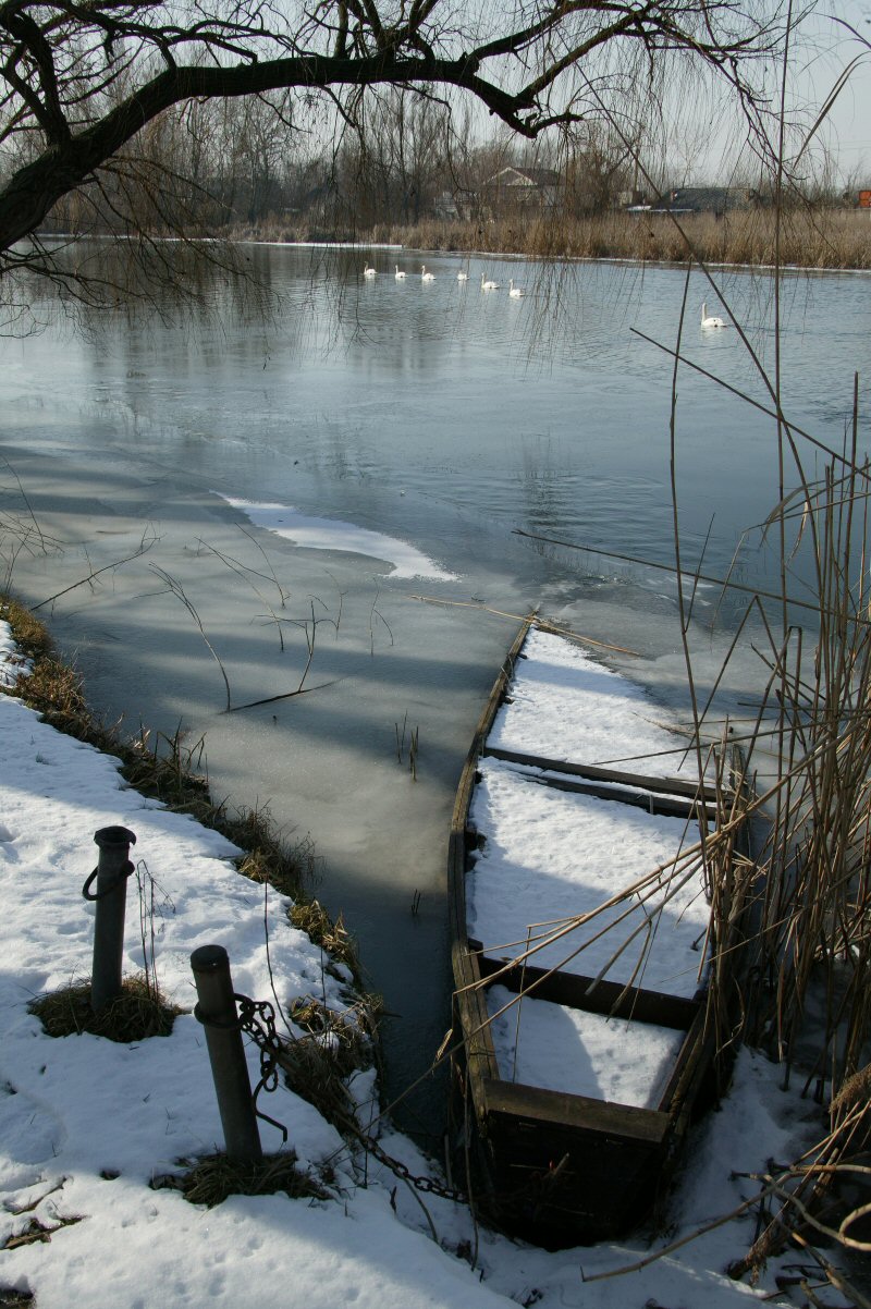 A Kis-Duna partja télen