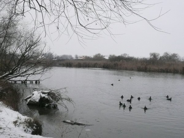 Tél a Duna-ágban 2.