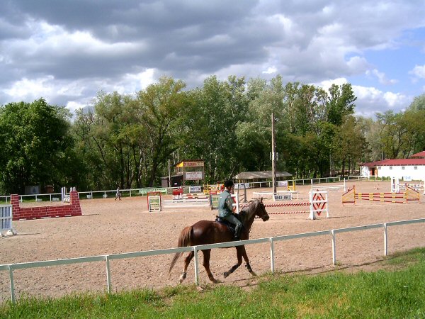 A városban több lovasiskola is működik - Ez épp a Mustang lovasklub
